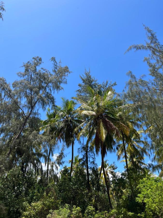 Kivuli Beach Resort パジェ エクステリア 写真