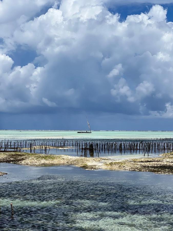Kivuli Beach Resort パジェ エクステリア 写真